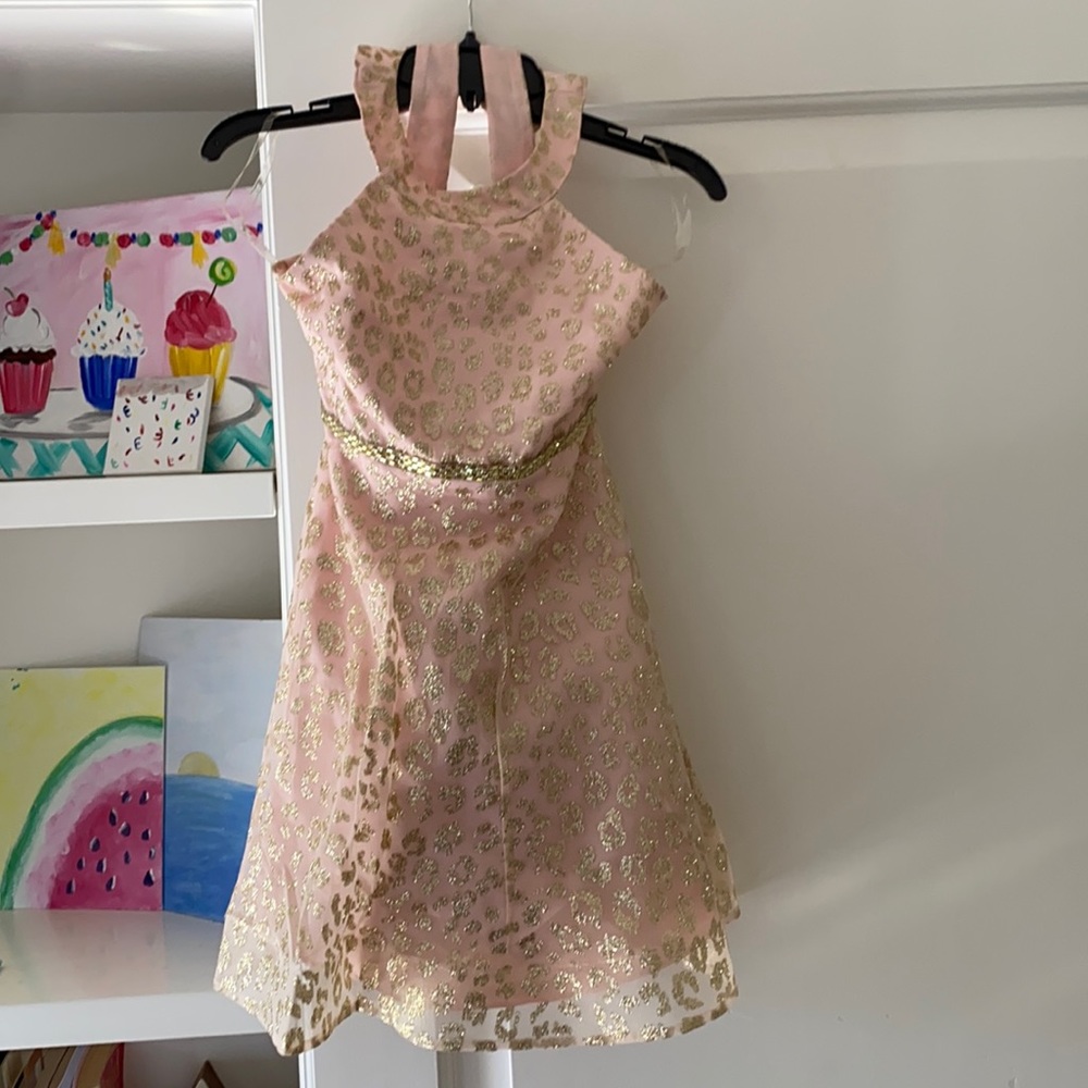 Cheetah Ponk Dress